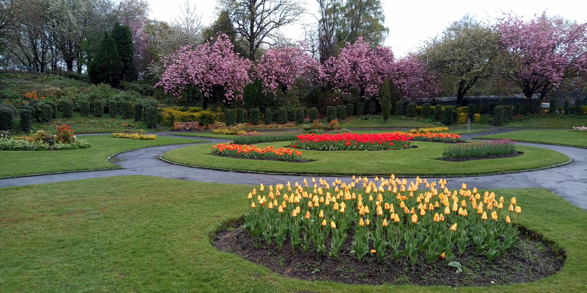 Blossom and Flower beds in Victoria Park