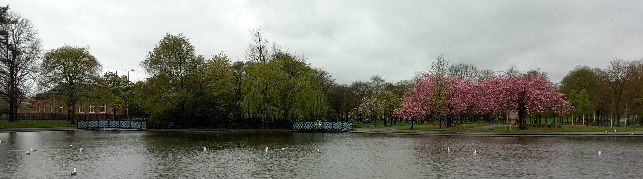 Nature Pond in Victoria Park in Glasgow