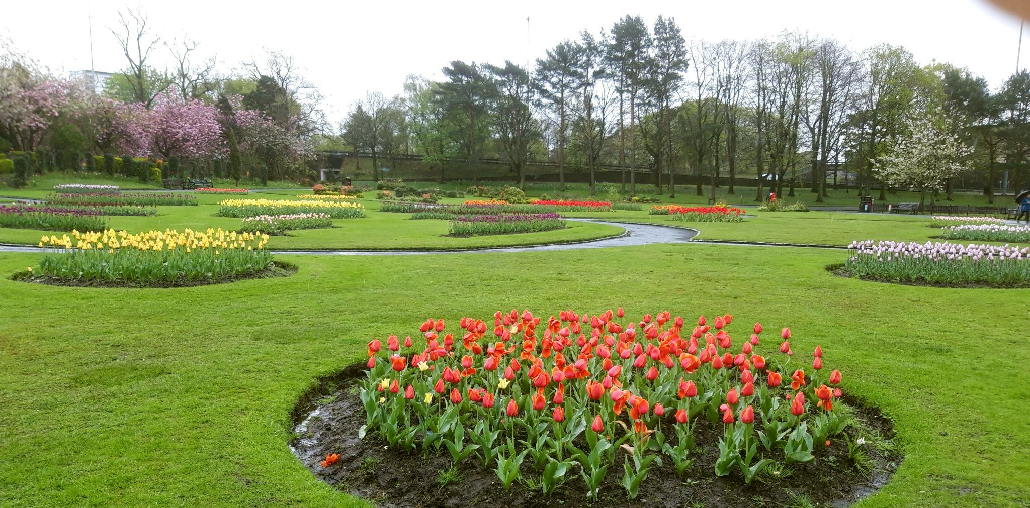 Blossom and Flower beds in Victoria Park