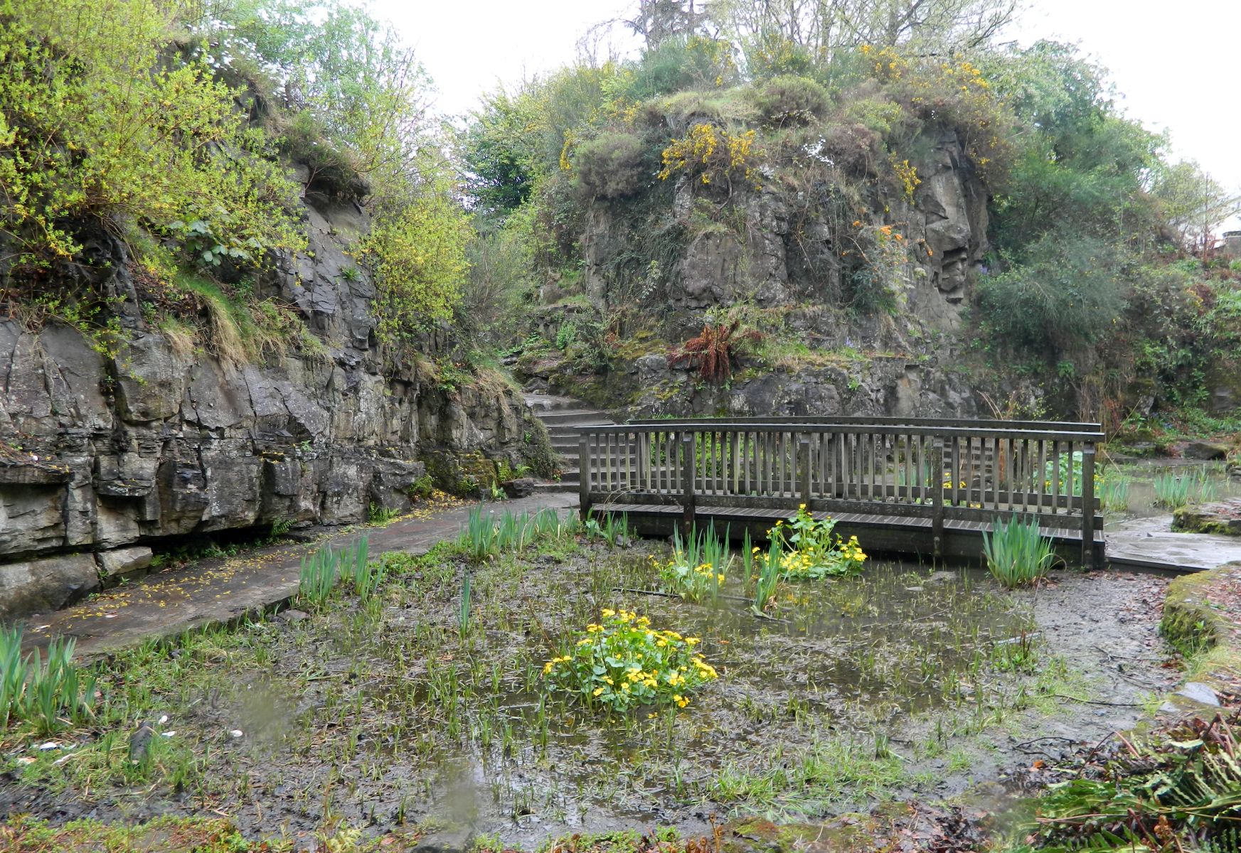 Rock Quarry in Victoria Park