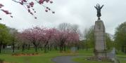DSCN3244.JPG