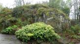 DSCN3247.JPG