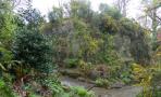 DSCN3248.JPG