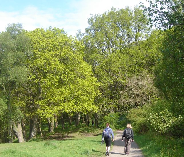 West Highland Way leaving Milngavie