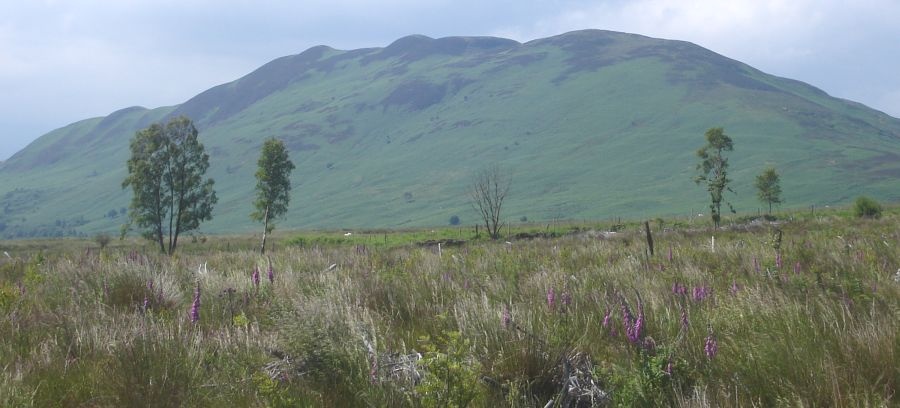 Conic Hill