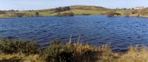 DSCN6533.JPG