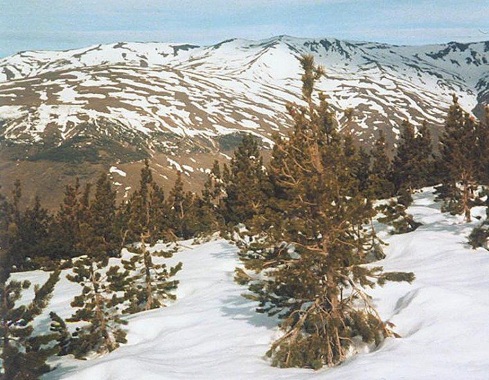 Approach to Mulhacen ( 3481m ) in the Sierra Nevada in Southern Spain