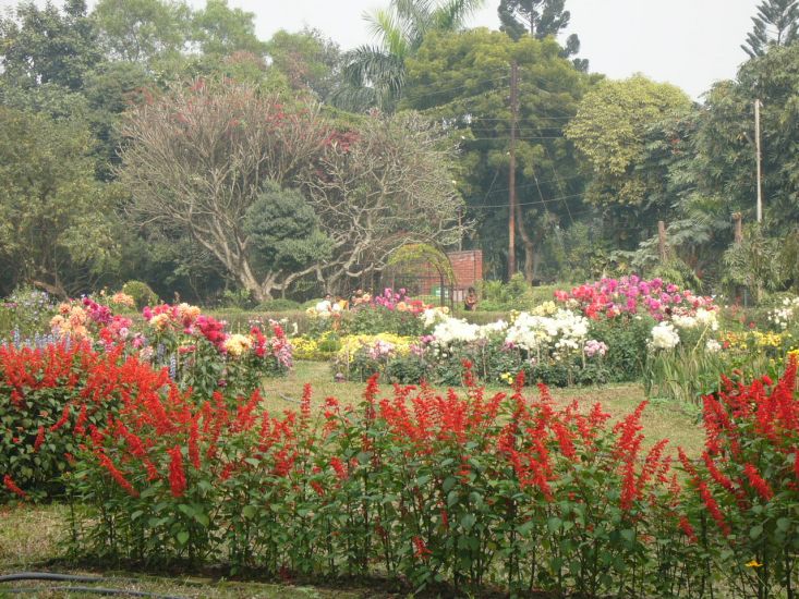 Botanic Gardens in Dhaka